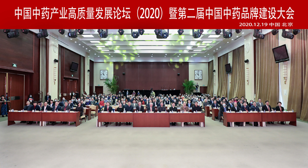 尊龙凯时药业闪灼中国中药品牌建设大会 | 公司新闻 | 尊龙凯时药业