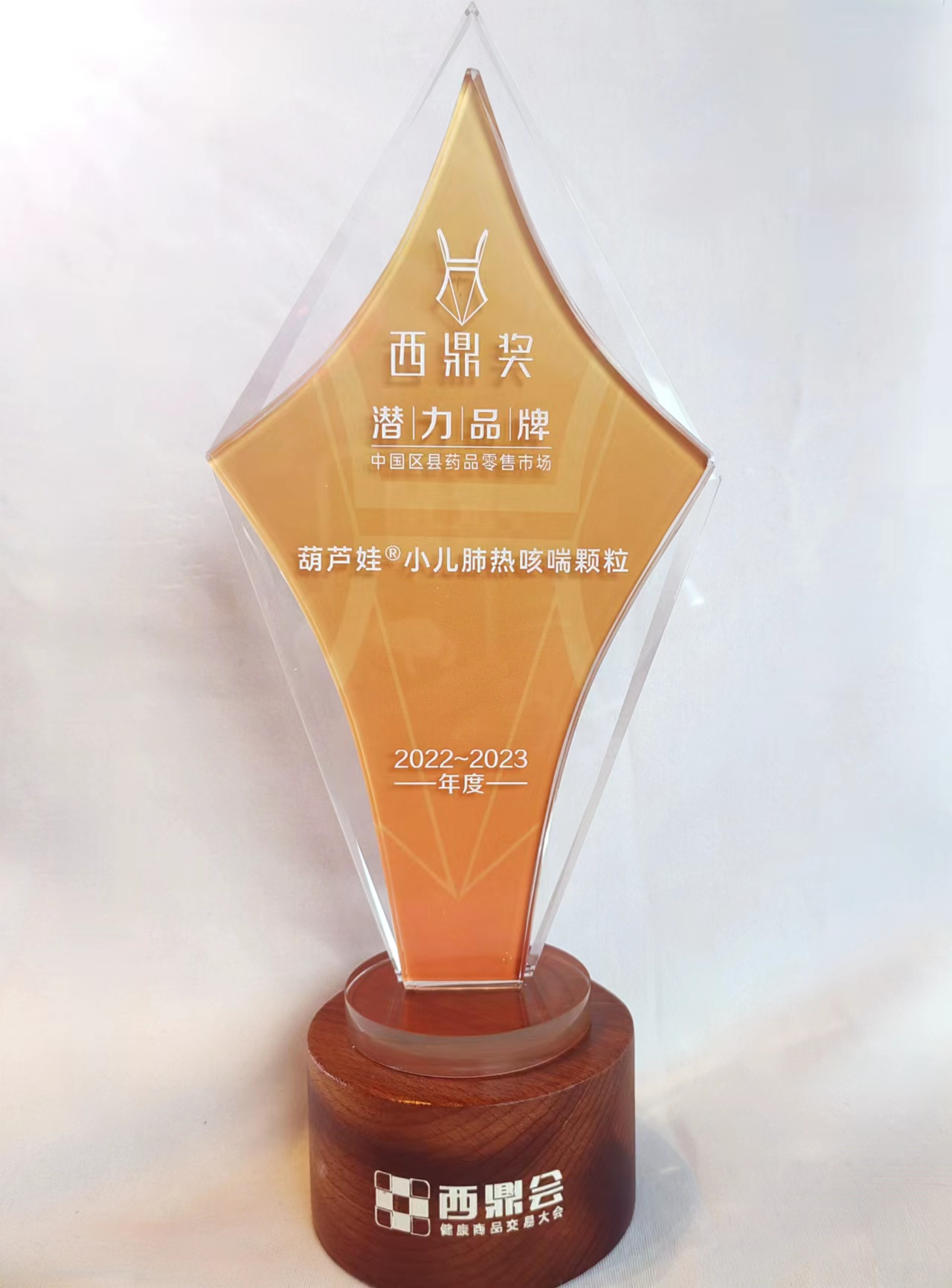 尊龙凯时牌小儿肺热咳喘颗粒（4g）荣获“2022-2023年度中国区县药品零售市场潜力品牌” | 公司新闻 | 尊龙凯时药业