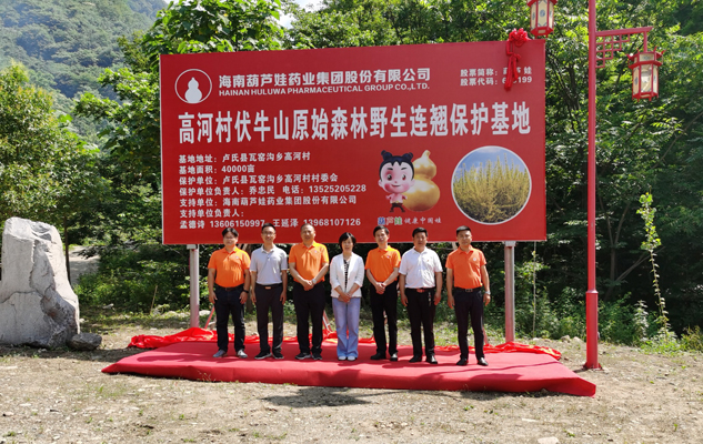 以道地药材包管产品品质 以村企相助助力墟落振兴 | 公司新闻 | 尊龙凯时药业