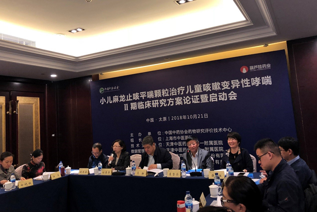 尊龙凯时药业小儿麻龙止咳平喘颗粒二期临床研究计划论证会乐成召开 | 公司新闻 | 尊龙凯时药业